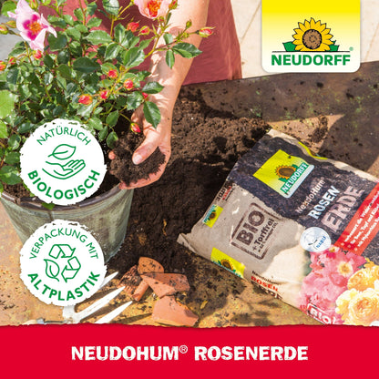 A person plants a blooming rose plant with NeudoHum Rose Soil from the Neudorff Shop; on the table and in the upper right corner are the soil bag, terracotta shards, two certification symbols, and the Neudorff logo.