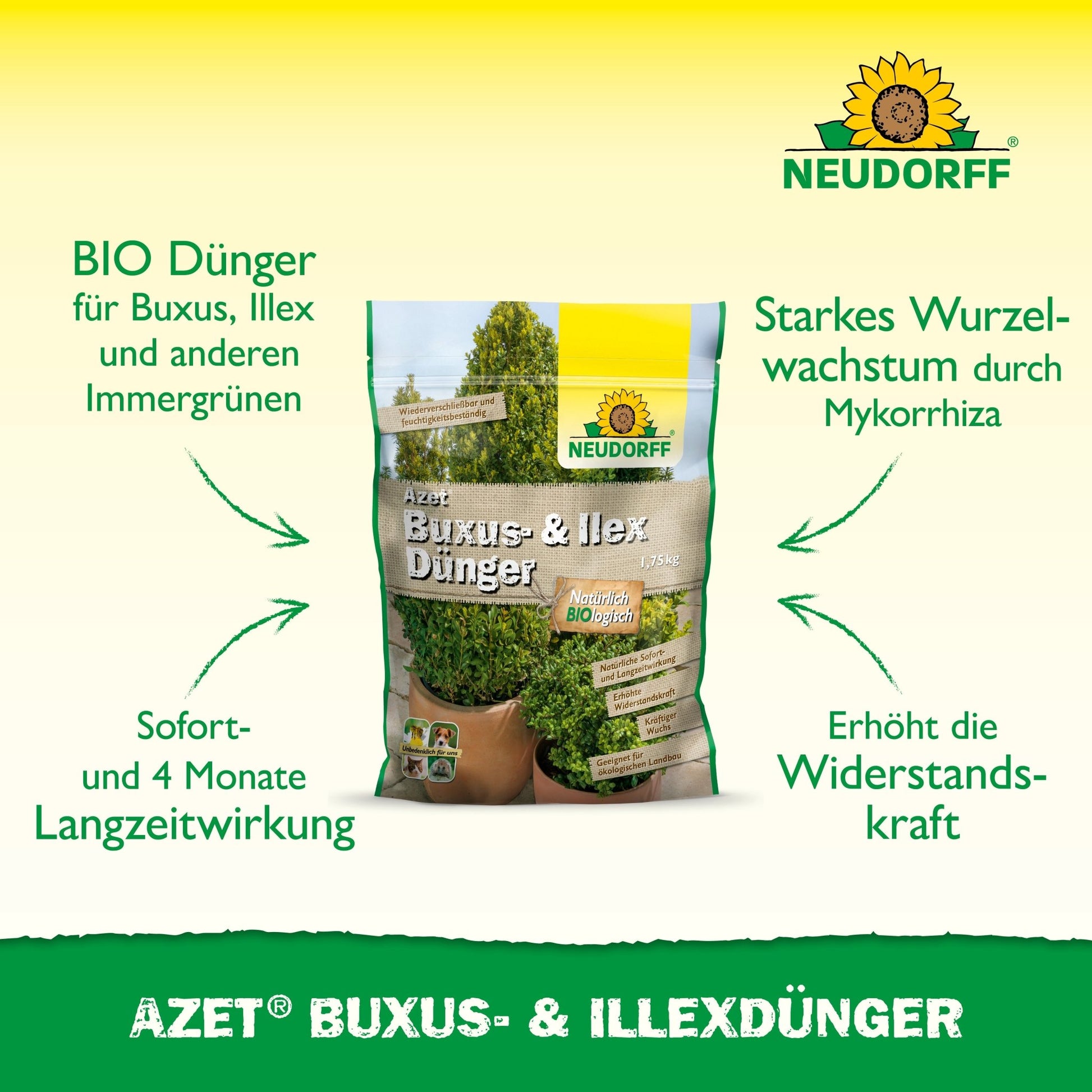 In the middle stands a bag of Neudorff Shop Azet Buxus & Ilex Fertilizer, which highlights the long-lasting benefits for boxwood and holly and its role in strengthening the plants' resilience in green lettering.