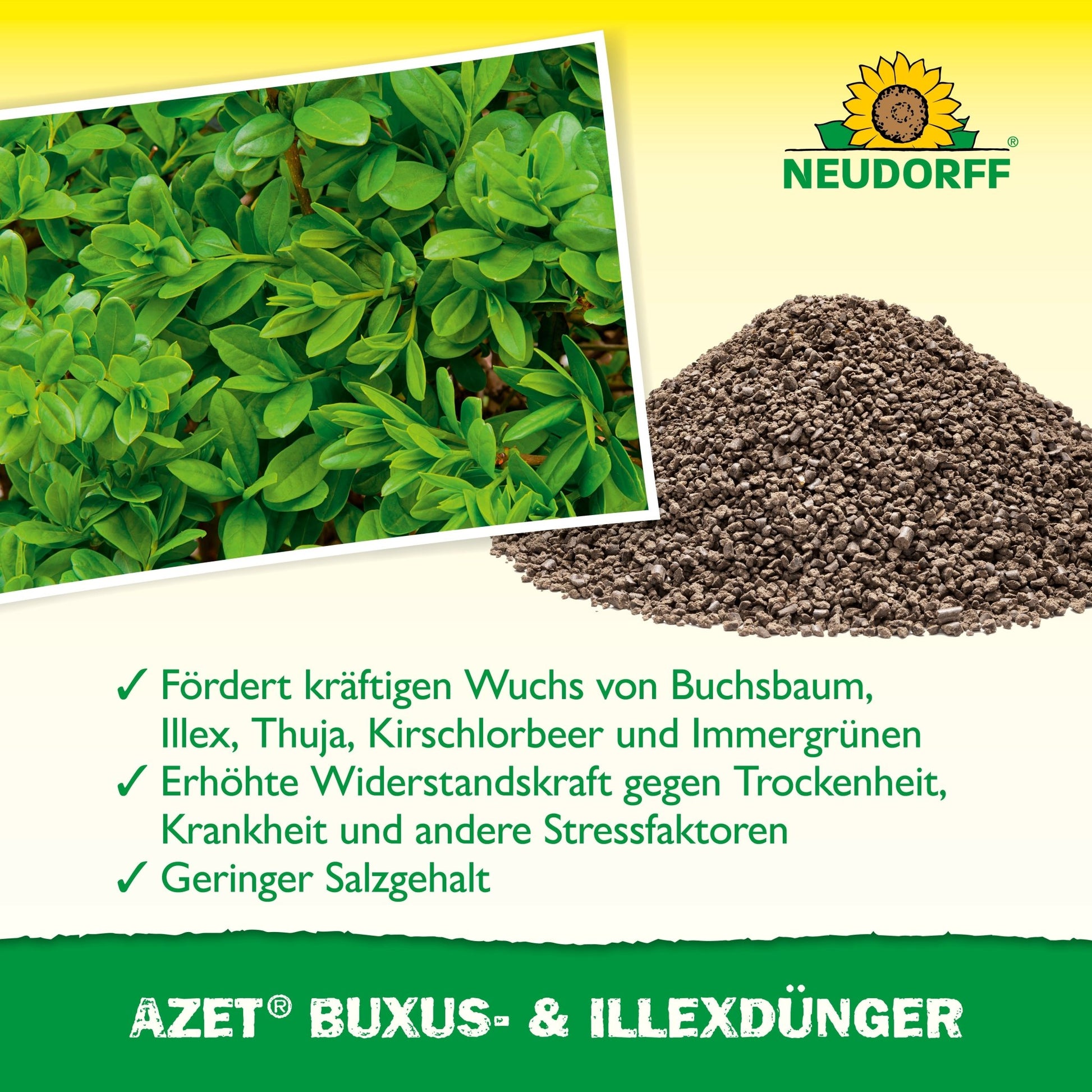 To the left are green boxwoods, to the right a pile of organic fertilizer, and in the middle the product Azet Buxus & Ilex Fertilizer from Neudorff Shop - the ideal care for boxwood and holly.