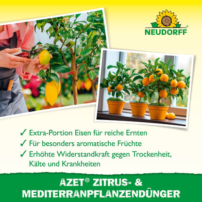 On the left, a person holds a yellow lemon, on the right, an orange tree bears ripe fruit. The text recommends Azet Citrus & Mediterranean Plant Fertilizer from Neudorff Shop for citrus and Mediterranean container plants.