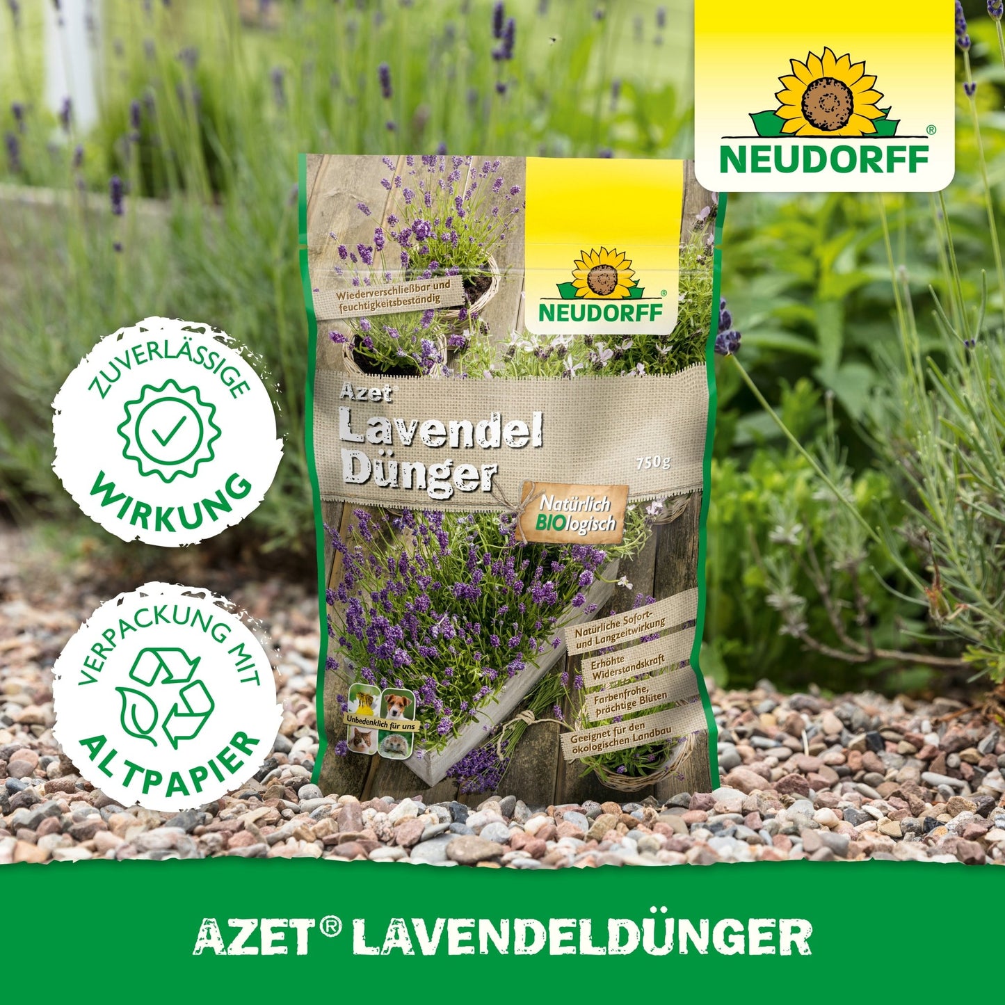 A bag of Neudorff Shop Azet Lavender Fertilizer lies on a gravel garden path next to lavender with blue-violet flowers. The packaging reads "environmentally friendly" in German.