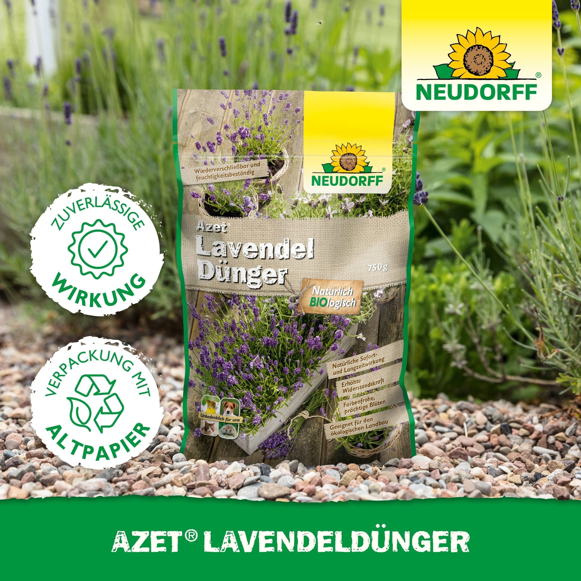 A bag of Neudorff Shop Azet Lavender Fertilizer lies on a gravel garden path next to lavender with blue-violet flowers. The packaging reads "environmentally friendly" in German.