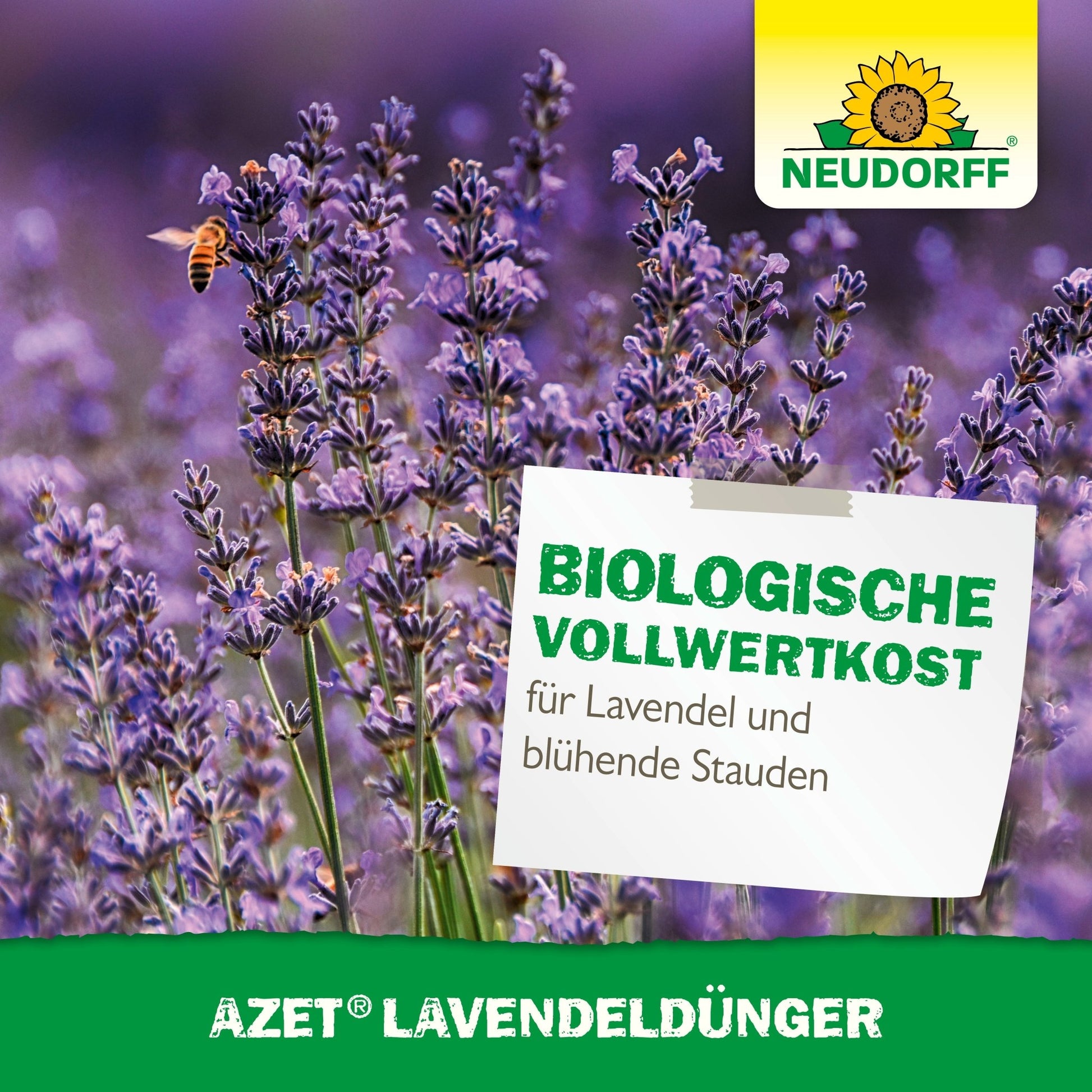 A bee hovers over purple-blue lavender flowers, a drought-tolerant shrub. A sign reads: "Organic complete nutrition for lavender and flowering perennials." Visible: Neudorff Shop logo and Azet Lavender Fertilizer.