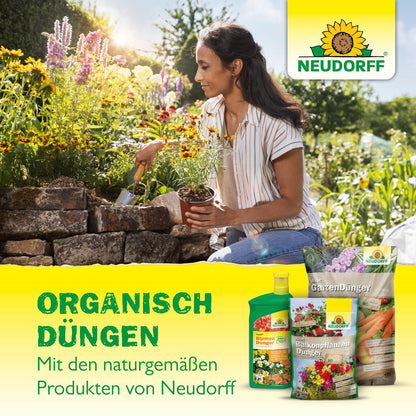 A woman is fertilizing lavender, a drought-tolerant shrub with blue-purple flowers, in her garden with Azet Lavender Fertilizer from Neudorff Shop.