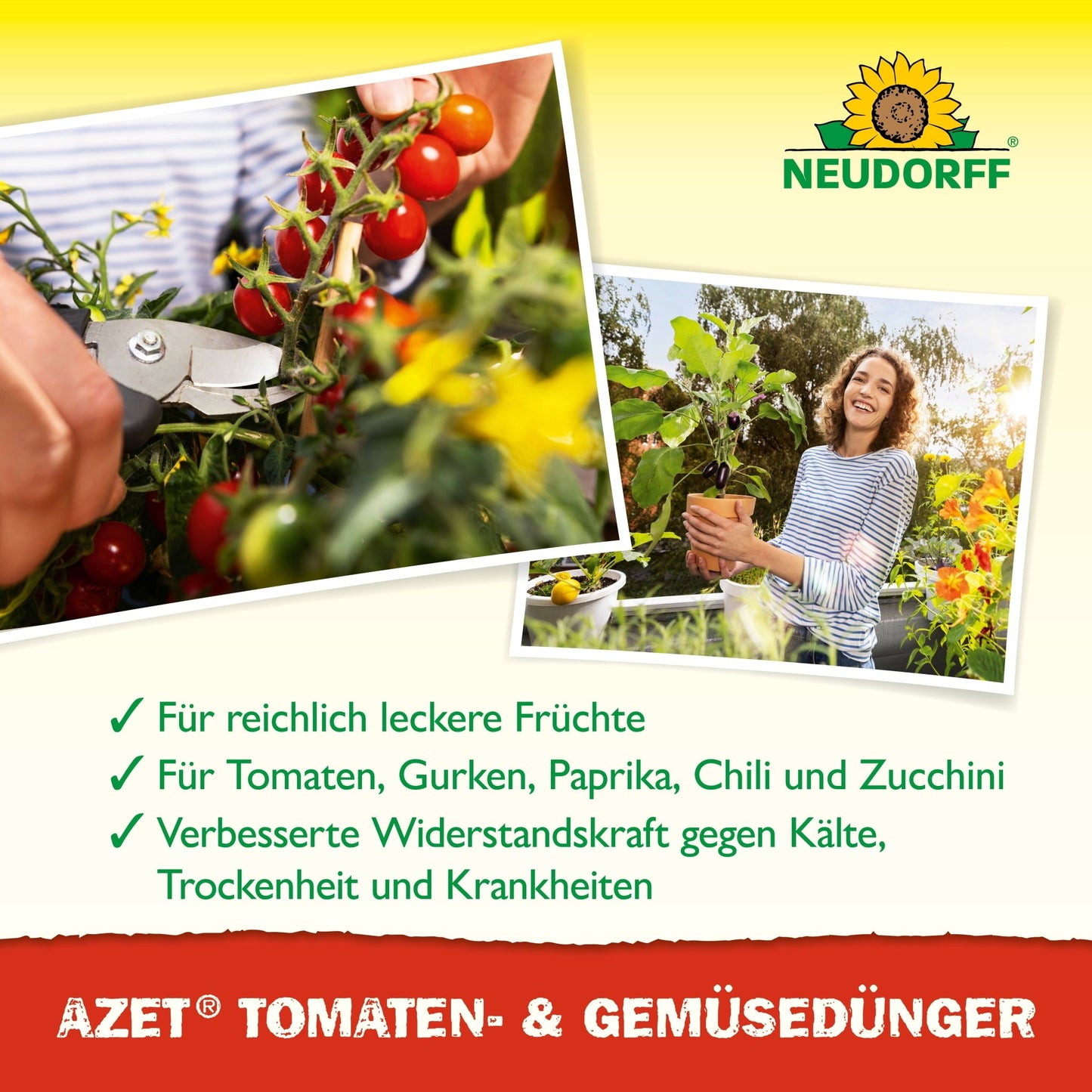 A person cuts ripe cherry tomatoes from a plant with scissors; another image shows someone holding a balcony vegetable tomato plant. The text highlights the benefits of Azet Tomato & Vegetable Fertilizer liquid from Neudorff Shop.