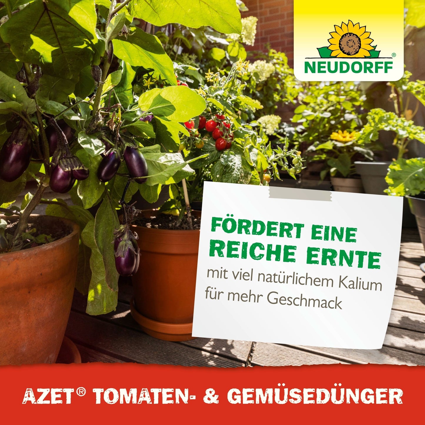In a sunlit container garden with tomatoes and eggplants, a sign points to Azet Tomato & Vegetable Fertilizer liquid from Neudorff Shop - ideal for balcony vegetables for natural fertilization of tomatoes and vegetables for a rich harvest with extra potassium.