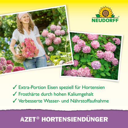 A woman holds a basket with pink hydrangeas in a garden. Blooming hydrangeas can be seen nearby. Neudorff Shop's Azet Hydrangea Fertilizer liquid is advertised for growing beautiful, healthy flowers.