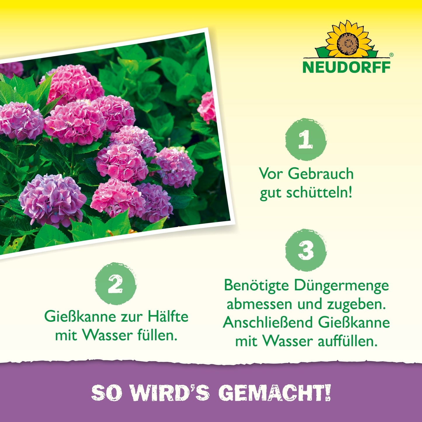 An instructional graphic from the Neudorff Shop shows pink hydrangeas on the left and a step-by-step guide on how to mix Azet Hydrangea Fertilizer liquid in three steps, against a yellow gradient background.