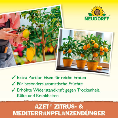 Two photos show hands caring for a potted lemon tree and an orange tree indoors. The text highlights Neudorff Shop Azet Citrus & Mediterranean Plant Liquid Fertilizer for citrus, oleander, and Mediterranean plants. The Neudorff logo is visible at the top.