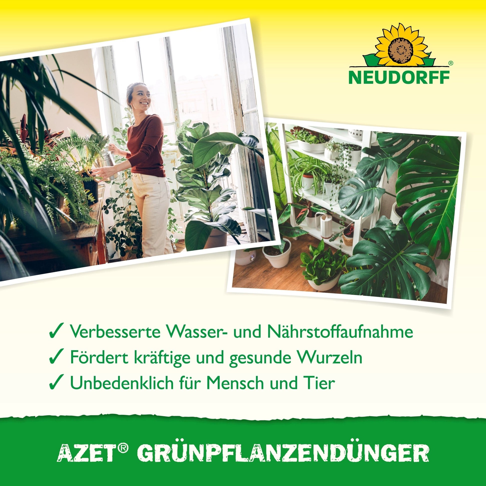 A woman stands at a bright window with green plants. Next to her, a close-up shows healthy indoor plants. The German text highlights the nutrients in Neudorff Shop Azet Green Plant Fertilizer liquid.