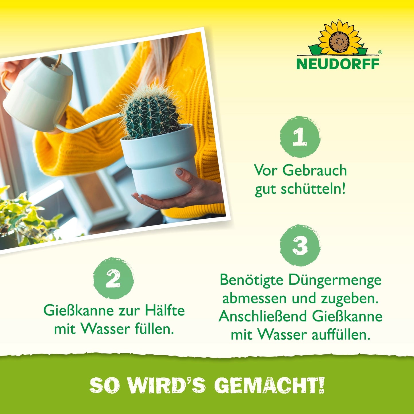 A person in a yellow sweater pours water and Azet Cactus & Succulent Fertilizer liquid from the Neudorff Shop into a pot with a small cactus, following the German instructions for fertilizing cacti and succulents.