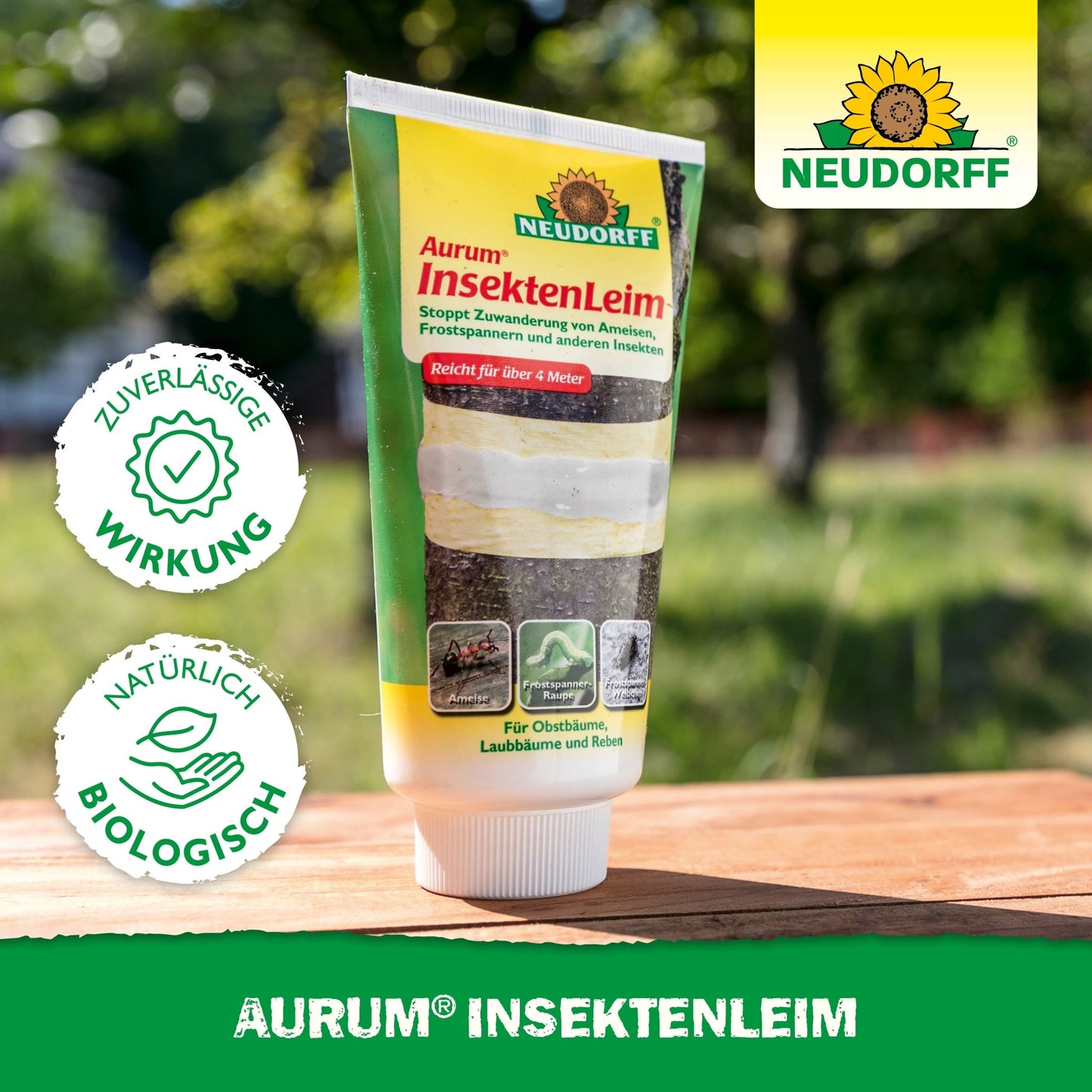 A tube of Neudorff Shop Aurum Insect Glue stands on a table outdoors. The packaging highlights the reliable effect against ants and winter moths and protects fruit trees with natural, biological ingredients.