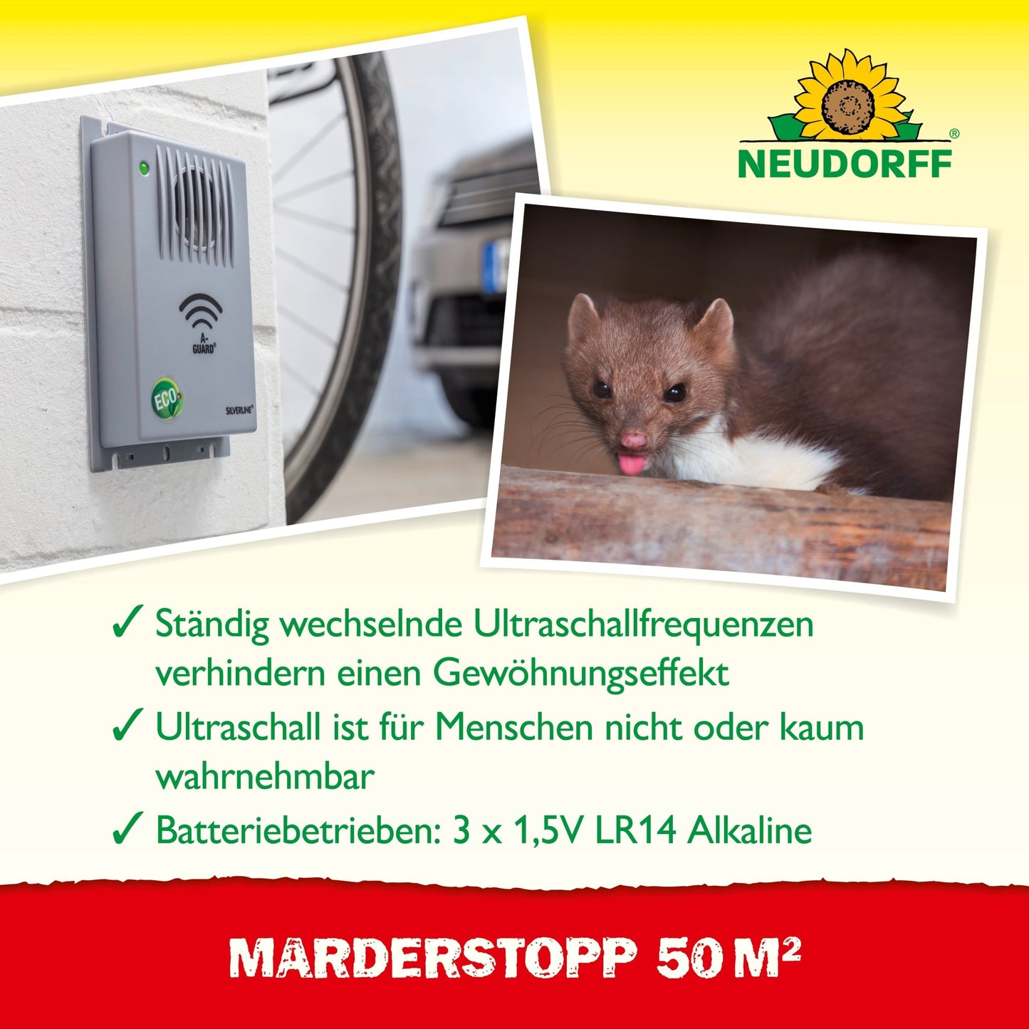 A gray MarderStopp 50m² ultrasonic device from Neudorff Shop is mounted on the wall. Nearby, a brown marten sits on wood. The text highlights the features of the ultrasonic technology, the Neudorff logo is visible at the top right.