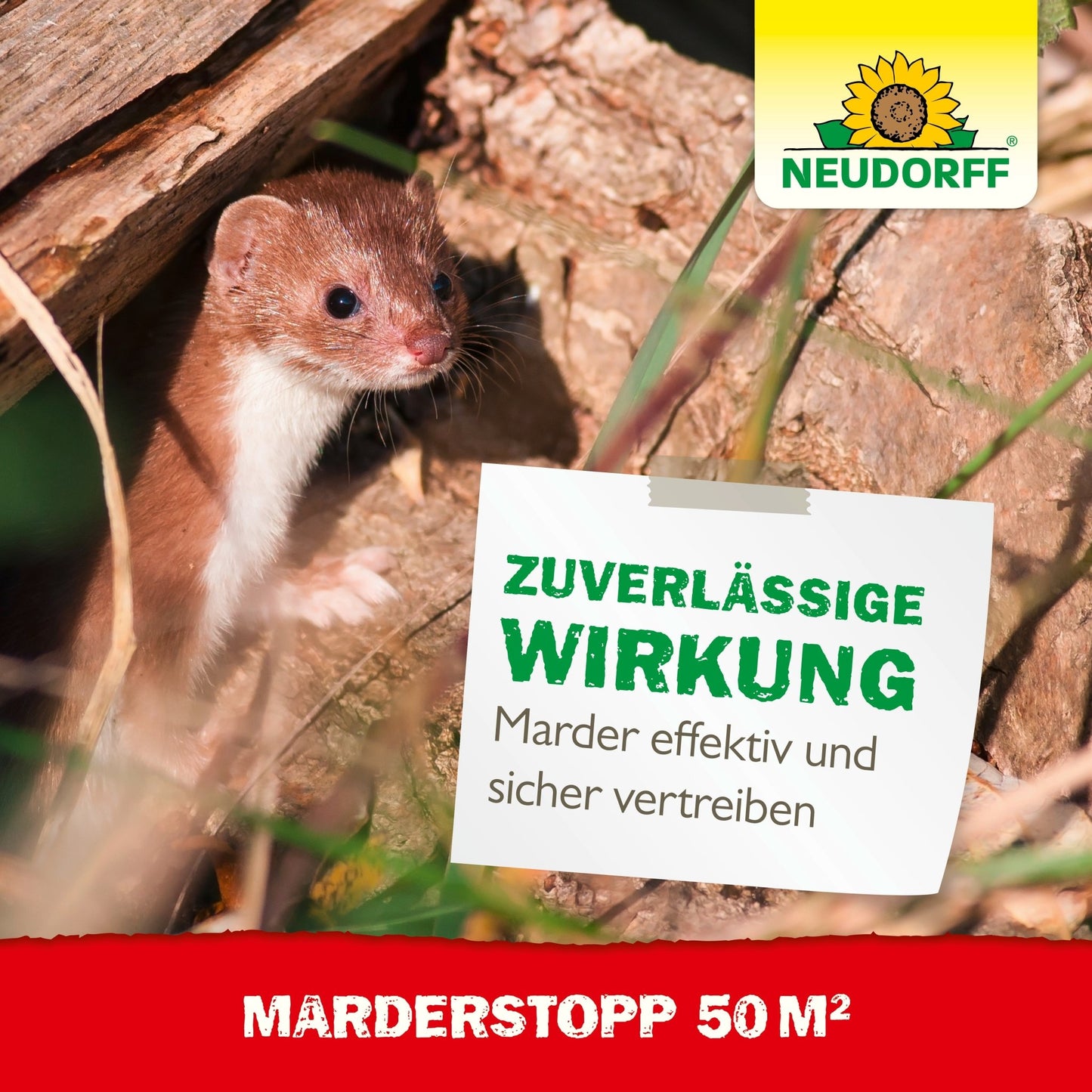 A weasel-like animal stands on logs outdoors. A German sign reads: "Reliable effect - effectively and safely repel martens." Neudorff Shop logo at the top right, "MarderStopp 50m²" at the bottom; protects with ultrasonic technology.