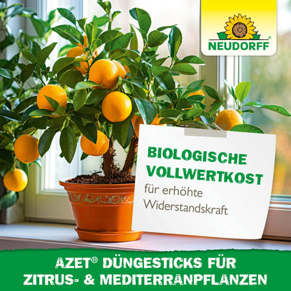 A potted citrus tree with ripe oranges stands on a windowsill. A German sign advertises Neudorff Shop Azet fertilizer sticks for citrus & Mediterranean plants, ideal for Mediterranean container plants, to strengthen resistance and for organic nutrition.