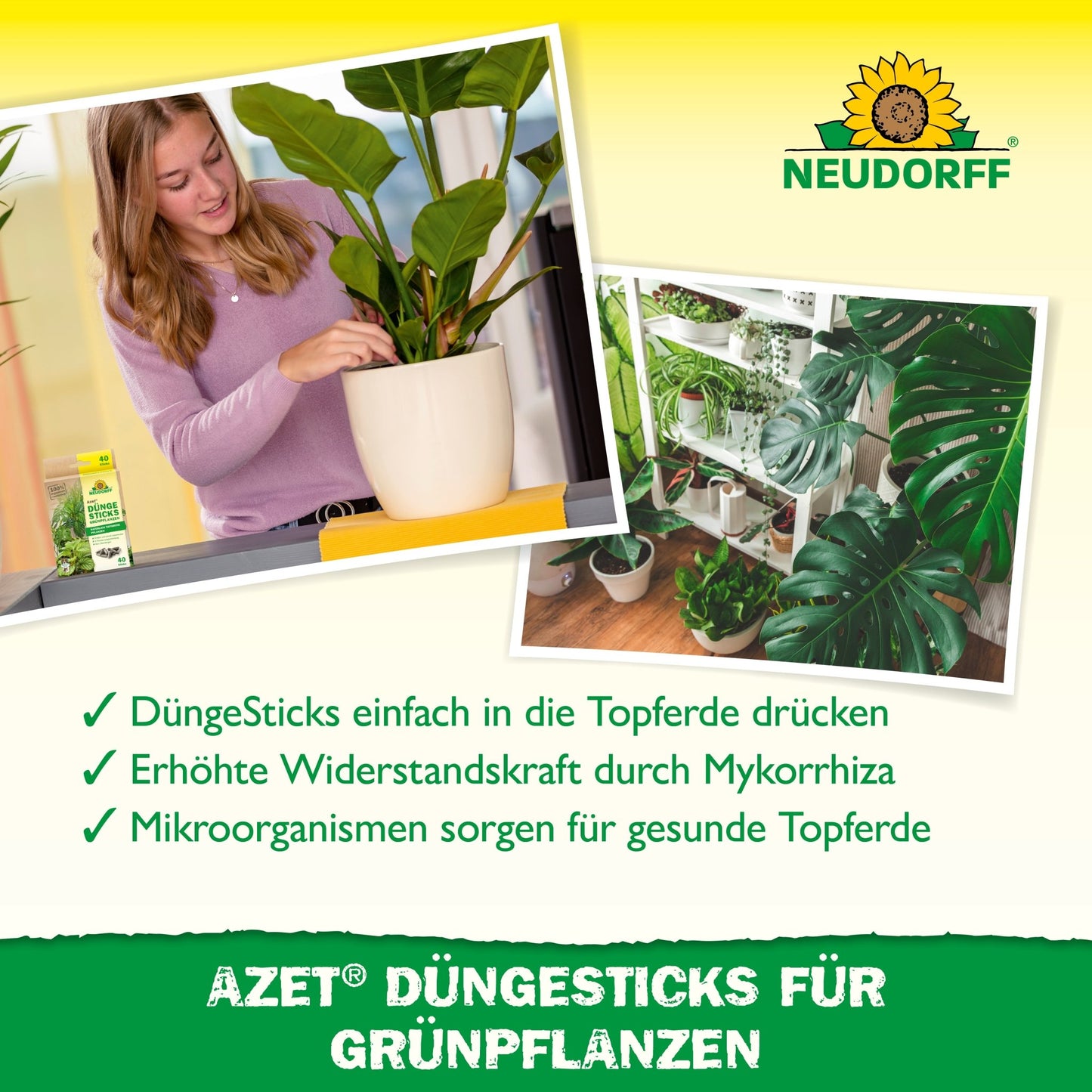 A woman presses an Azet fertilizer stick for green plants from the Neudorff Shop into the plant soil. Another photo shows healthy green foliage, while icons highlight the nutrient depot and the benefits of these fertilizer sticks for green plants.