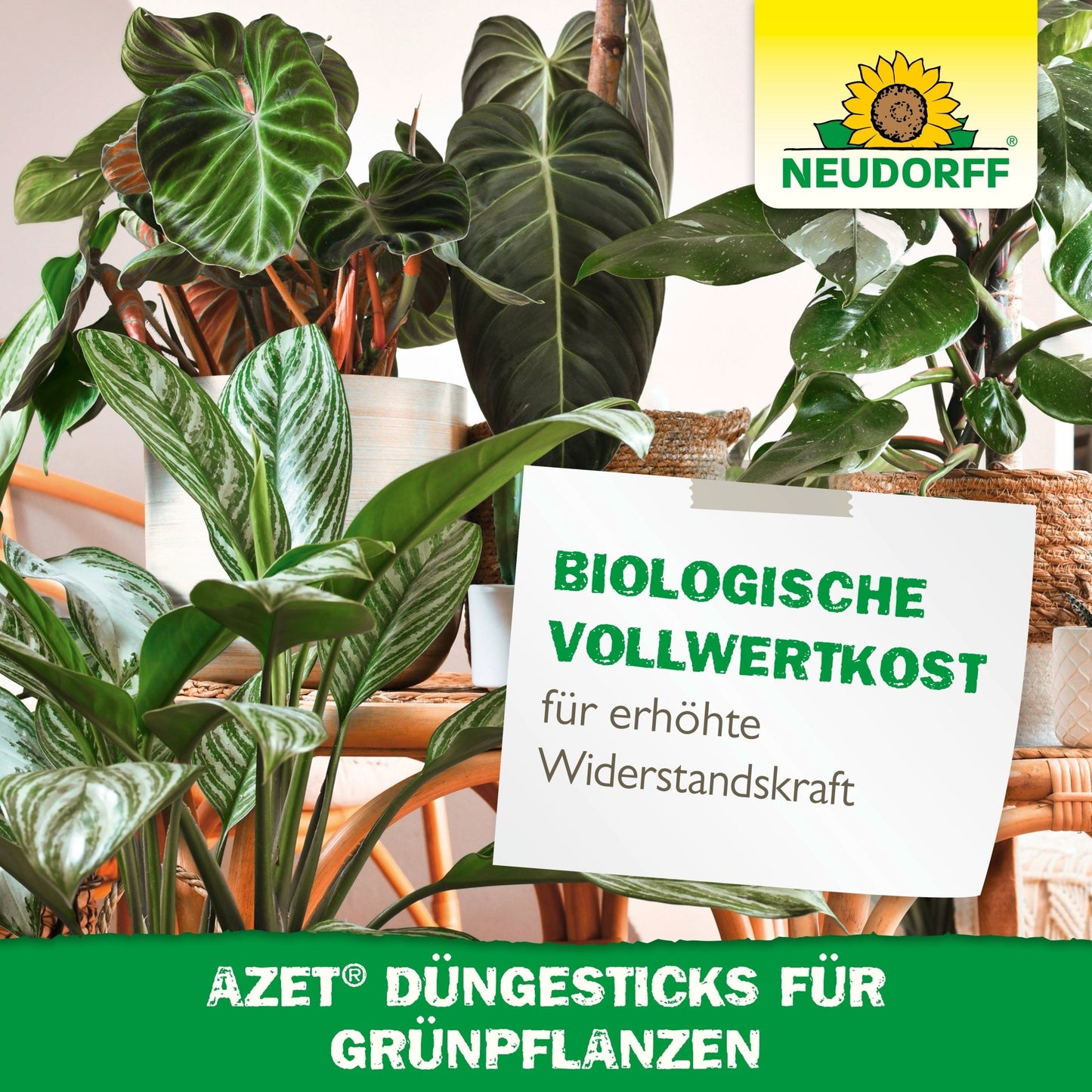 Indoors, several healthy green plants are grouped in pots. A sign advertises the Azet fertilizer sticks for green plants from Neudorff Shop and highlights their nutrient depot for improved plant health and resilience.