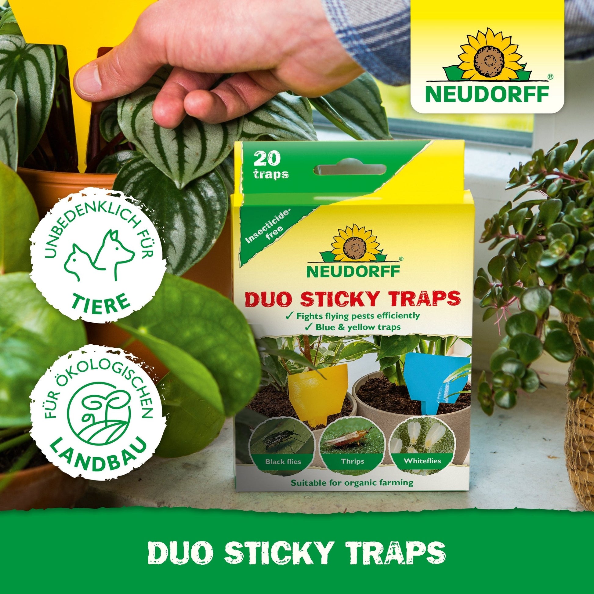 A hand places a yellow Duo sticky trap from Neudorff Shop into a potted plant. In front, on a table among green leaves, is a box with the inscription "Neudorff Shop Duo Sticky Traps", with symbols for animal safety and organic suitability.