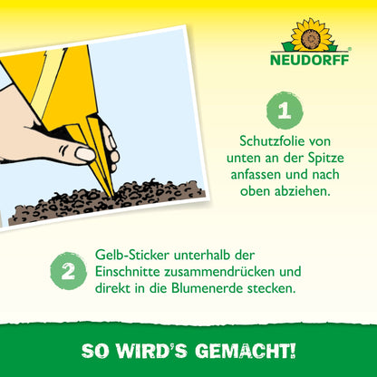 An illustrated guide from Neudorff Shop shows how to remove the protective film from Duo sticky traps and place them in the potting soil. The instructions are written in German.