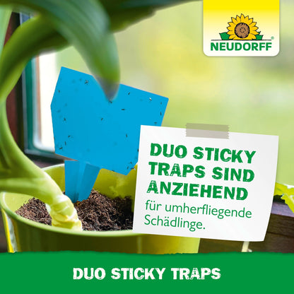 A Duo Sticky Trap from Neudorff Shop hangs in a houseplant by the window and catches small insects. The German text recommends these traps against flying pests such as fungus gnats and thrips.