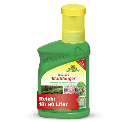 A green plastic bottle of Neudorff Shop Balsamol foliar fertilizer with a yellow cap; suitable for 80 L, ideal for conifers and evergreens, and made from 90% recycled plastic.