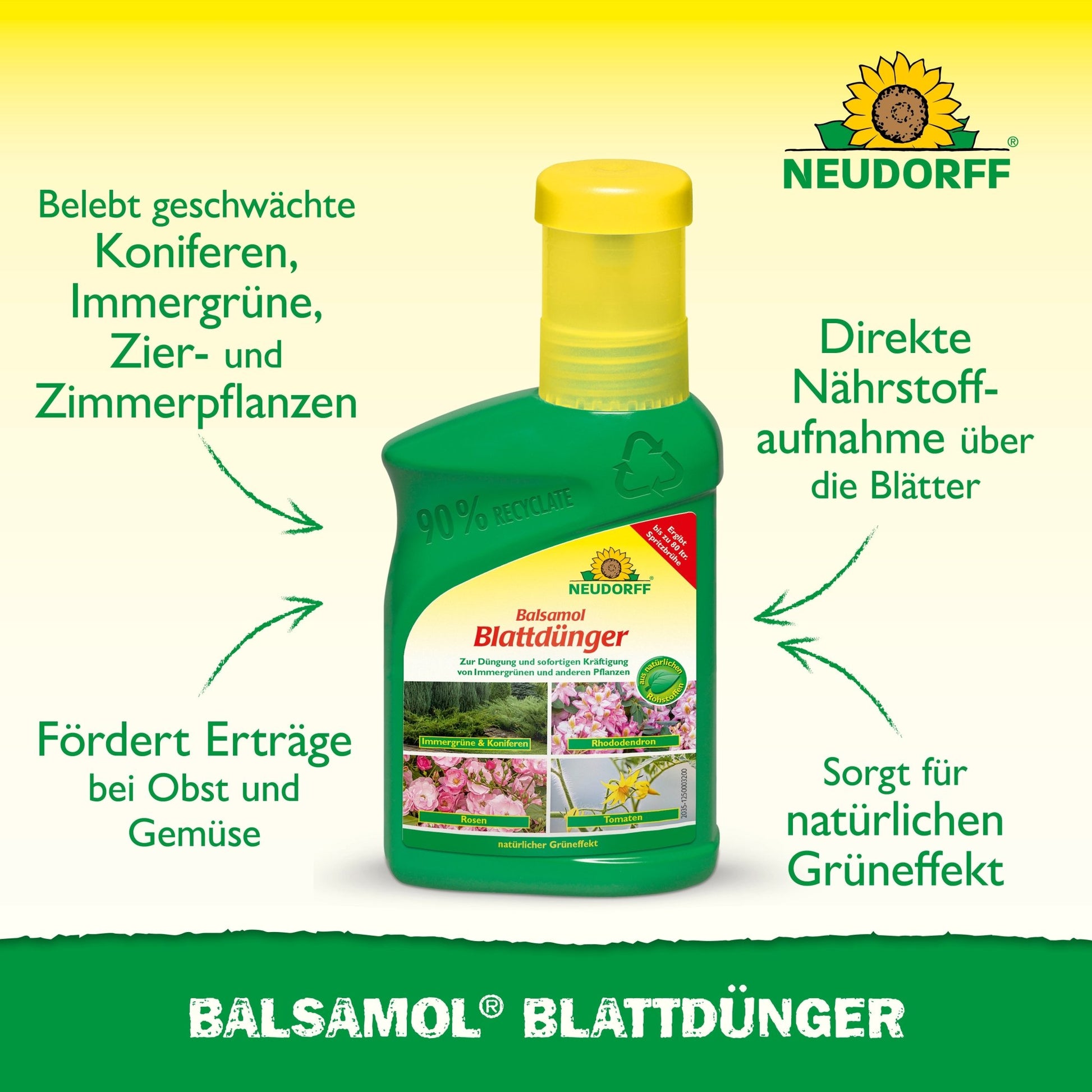 A green bottle of Neudorff Shop Balsamol foliar fertilizer stands on a yellow and green background, with text highlighting its benefits for evergreens, conifers, and rapid nutrient absorption.