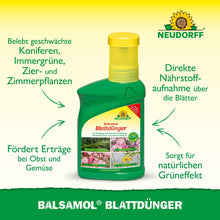 A green bottle of Neudorff Shop Balsamol foliar fertilizer stands on a yellow and green background, with text highlighting its benefits for evergreens, conifers, and rapid nutrient absorption.