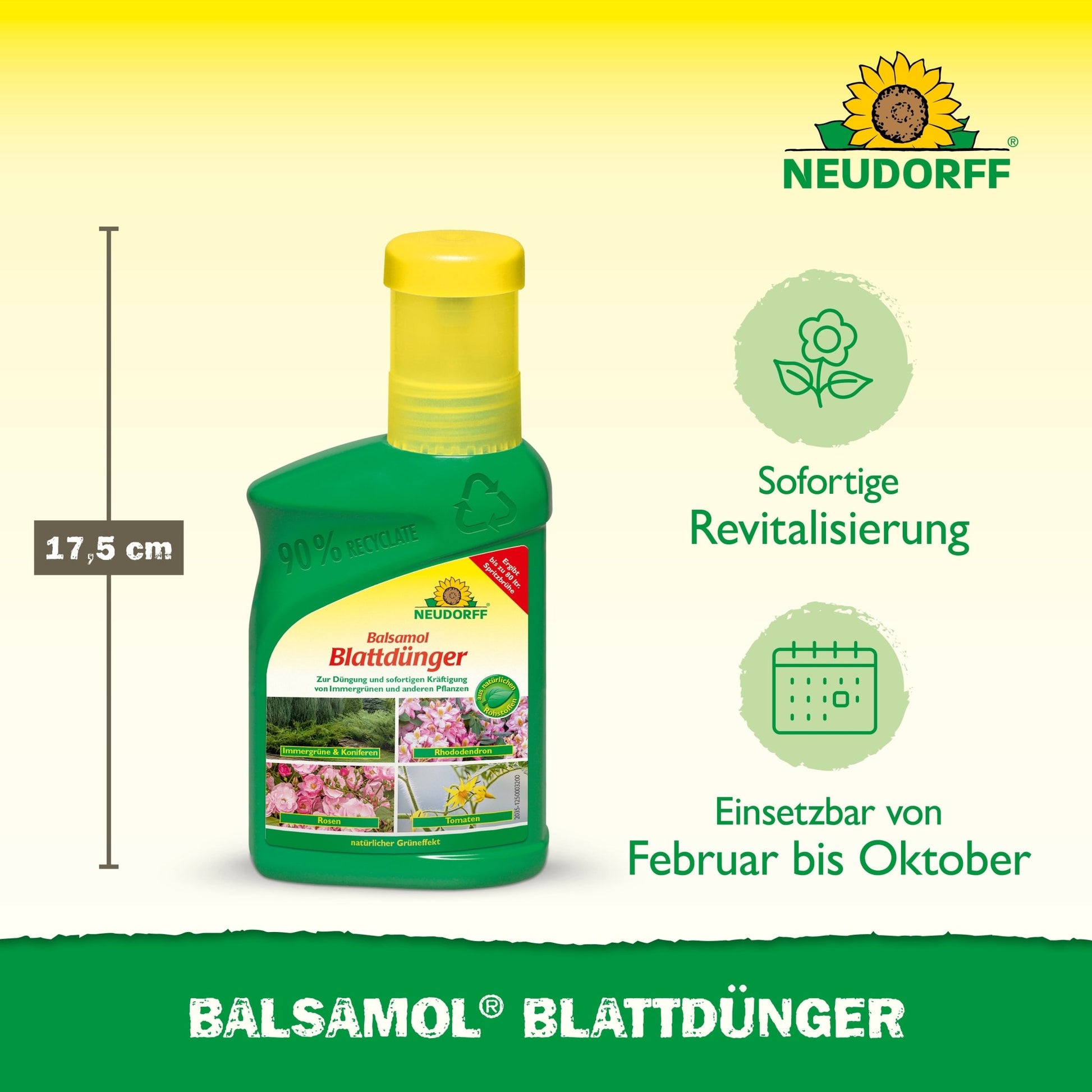 Pictured is a green 17.5 cm bottle of Neudorff Shop Balsamol foliar fertilizer. The text indicates that it revitalizes evergreens and is suitable for use from February to October. The Neudorff logo appears at the top right.