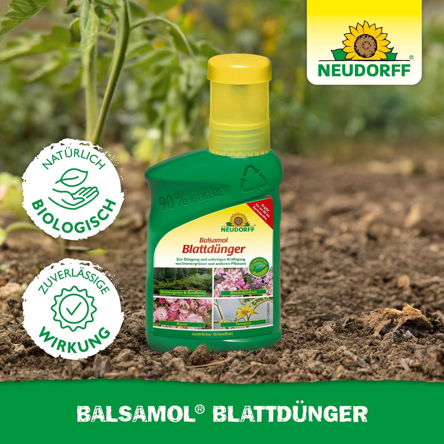 A green bottle of Neudorff Shop Balsamol foliar fertilizer stands amidst outdoor plants. The label indicates the product benefits of healthy evergreens and conifers, as well as the logos "organic" and "reliable effect."