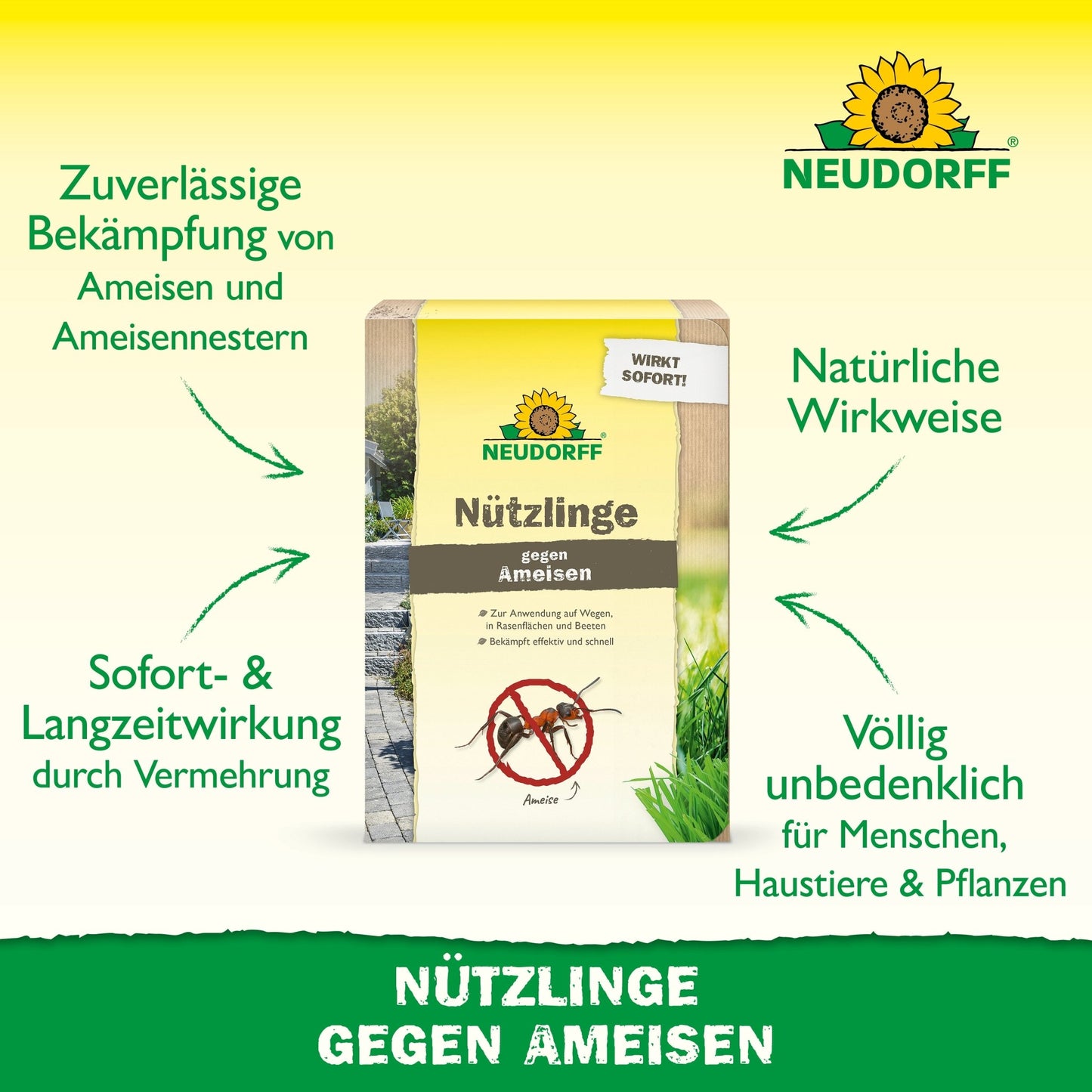 In the middle, there is a 'Beneficial Insects against Ants' box from Neudorff Shop with green and yellow branding. The German text explains that nematodes effectively and naturally combat ant nests, safe for humans, animals, and plants.