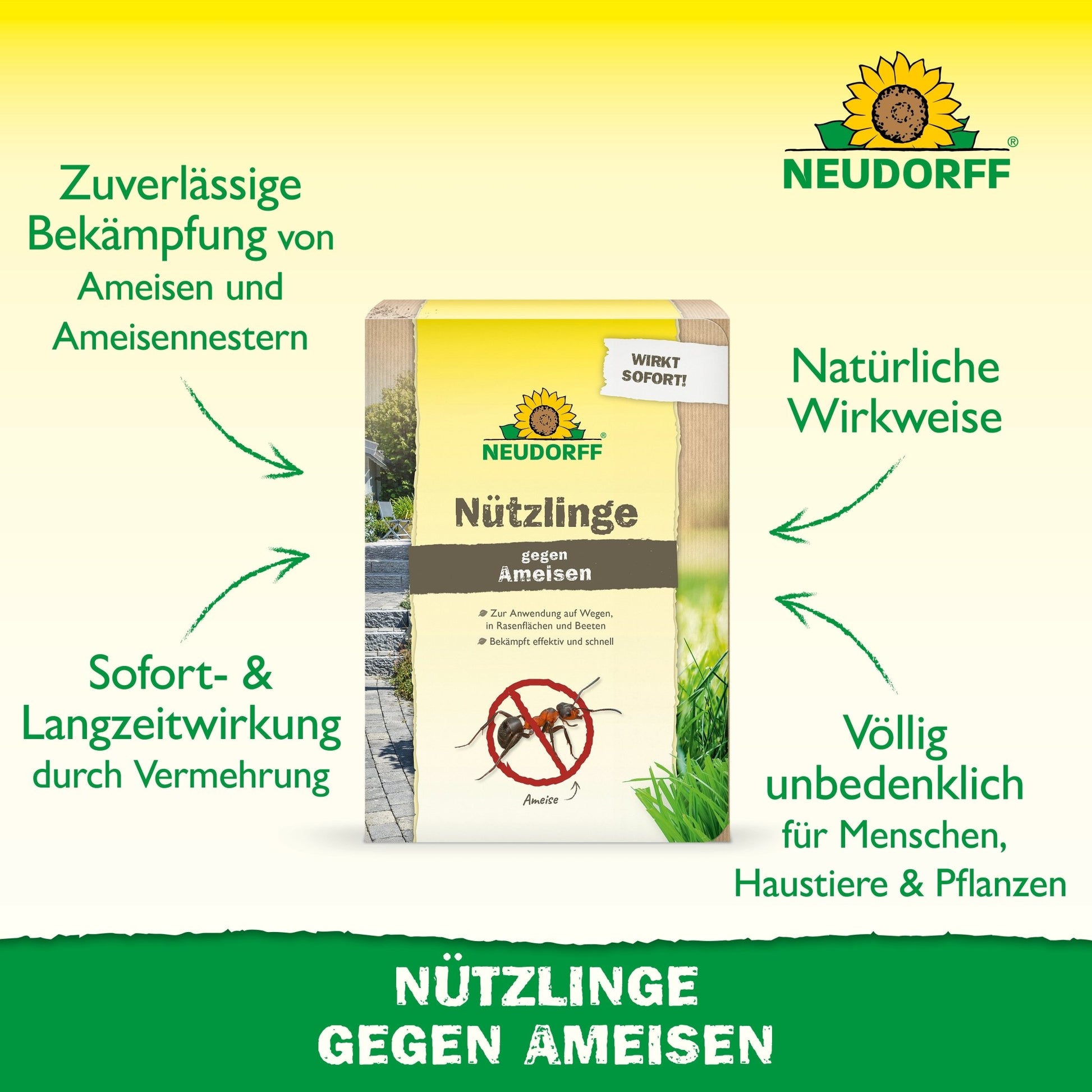 In the middle, there is a 'Beneficial Insects against Ants' box from Neudorff Shop with green and yellow branding. The German text explains that nematodes effectively and naturally combat ant nests, safe for humans, animals, and plants.