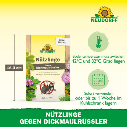 Pictured is a package of "Beneficial Insects Against Vine Weevils" from the Neudorff Shop, indicating the height of 18.3 cm, the required soil temperature, and application instructions for this natural nematode-based pest control product.