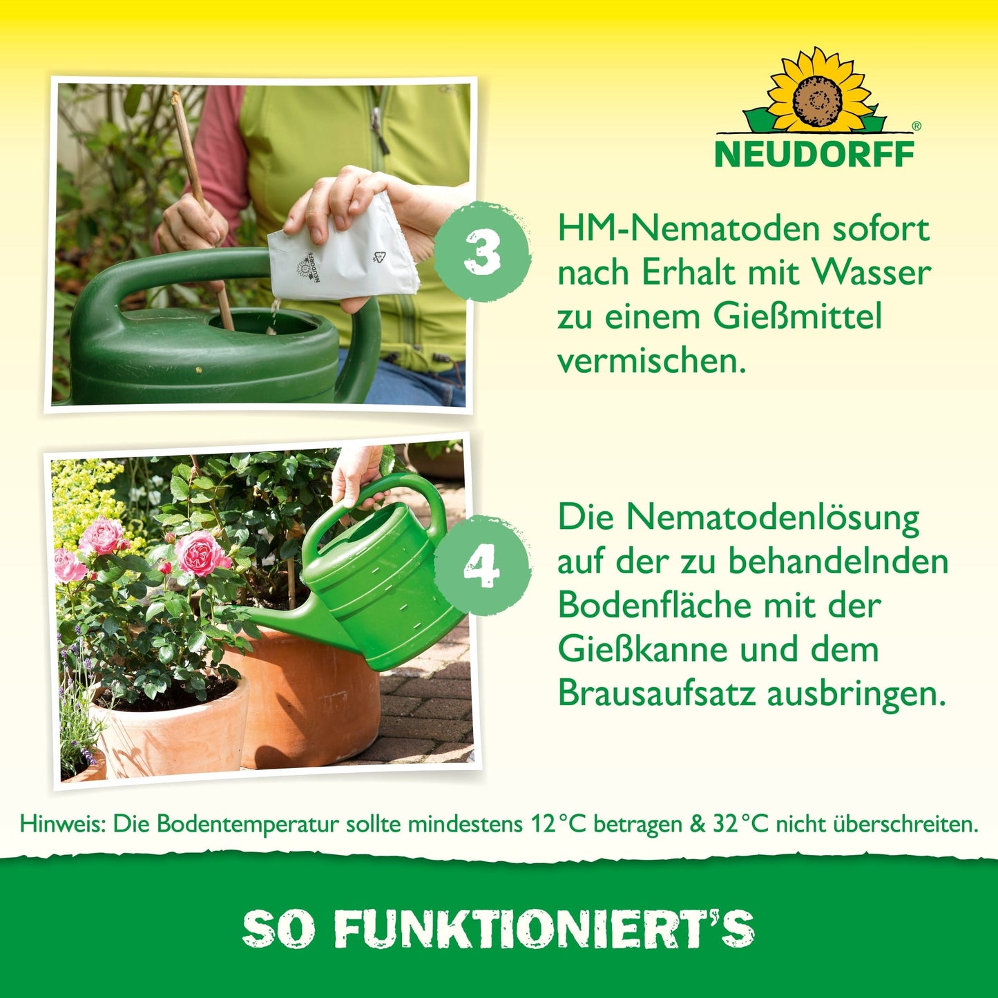 A person mixes beneficial insects against vine weevils from Neudorff Shop with water in a green watering can to combat grubs and pours the solution onto the soil. The image shows instructions and information in German.