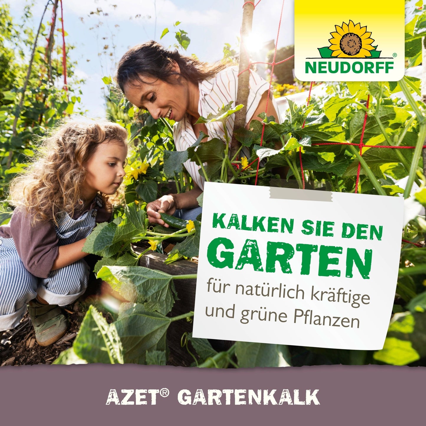 Azet Garden Lime