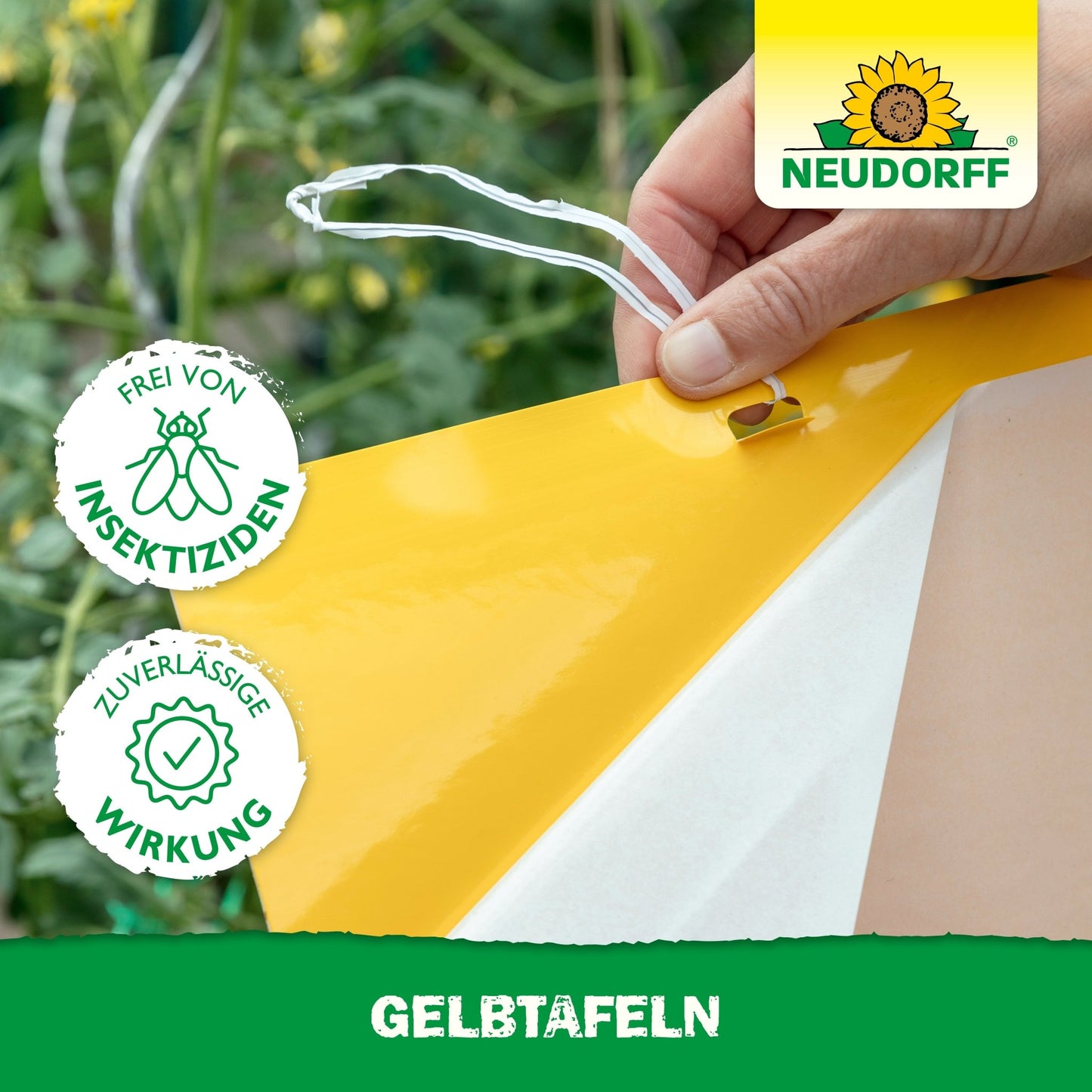 A hand hangs a Yellow Board (large format) from the Neudorff Shop in a garden to protect against plant pests. The image shows the Neudorff logo, seal for insecticide-free and effective application, and "YELLOW BOARDS" at the bottom.