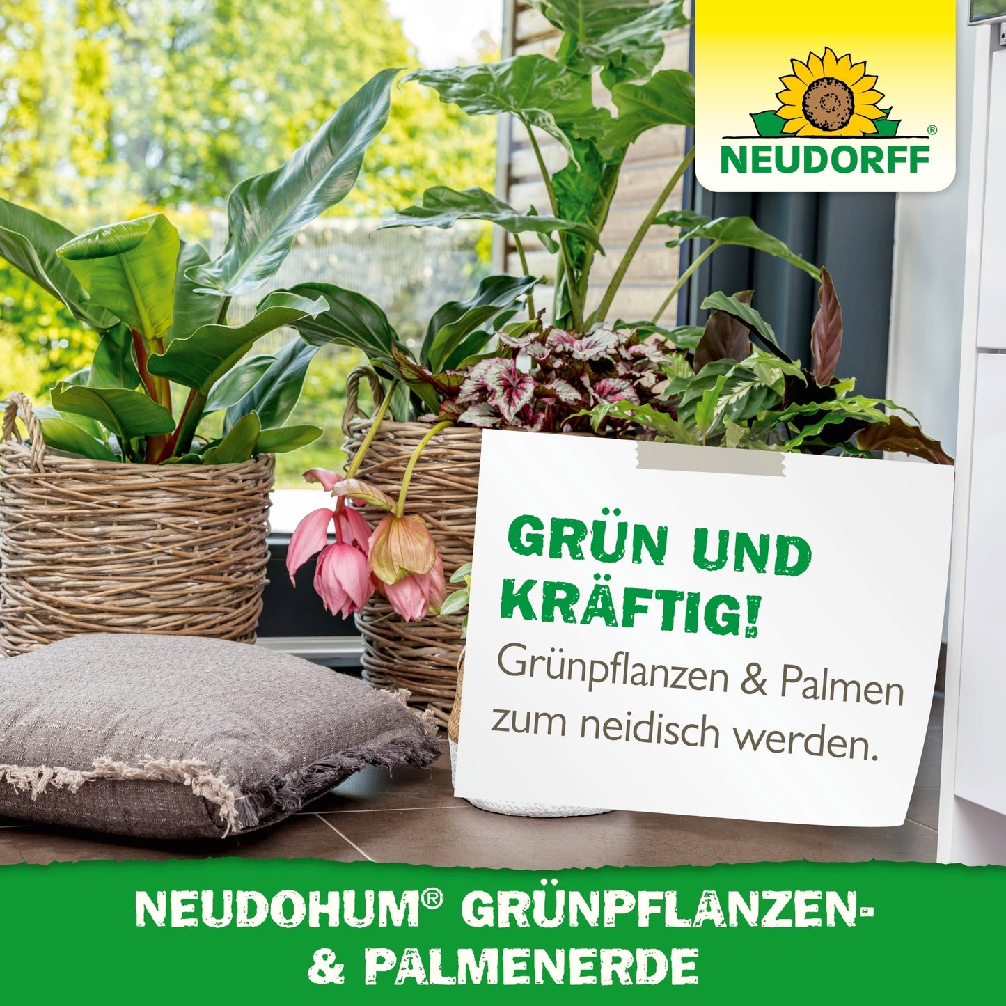 Several green houseplants in baskets stand on tiles by the window. A sign advertises "NeudoHum Green Plant & Palm Soil" from Neudorff Shop - peat-free and with a natural water reservoir.