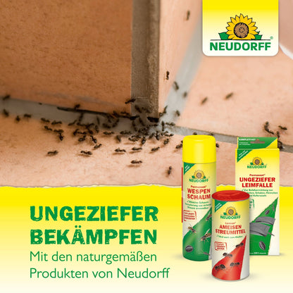 A group of ants crawls over a tiled floor. In front of them, three products of the Neudorff Shop double fly swatter are displayed. The German text advertises natural pest control solutions that are stain-free.