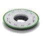 Numatic Octo PPN Scrub Brush 0.6mm 300mm for TTV678/TVL850 | Pack (1 piece)