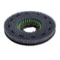 Numatic Octo SC scrub brush green, 300 mm for TTV678/TVL850 | Pack (1 piece)