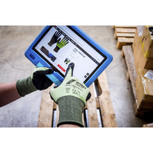 NITRAS SKIN FLEX CUT C, cut protection gloves, green / black