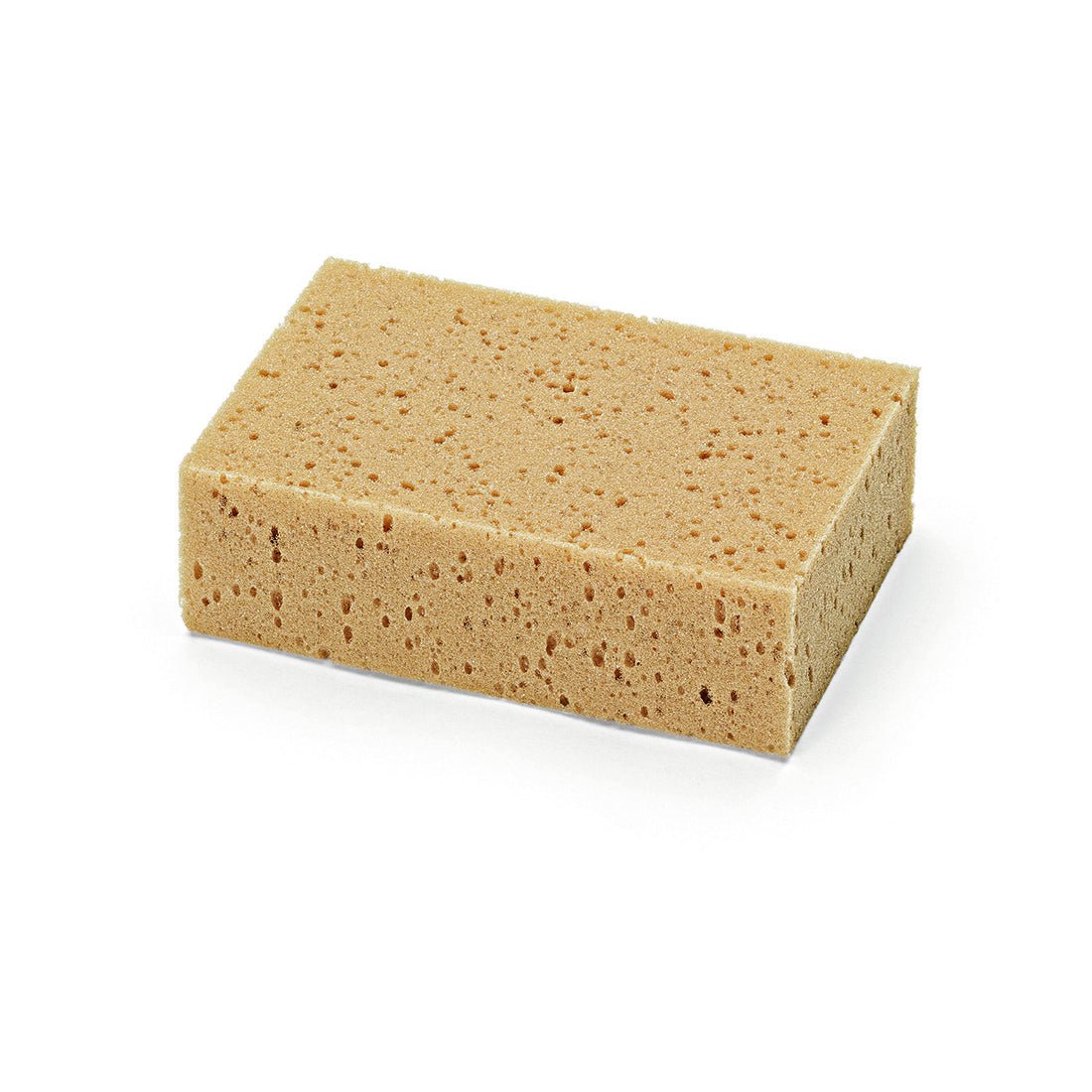 The Nölle Profi Brush Universal Sponge, 18x12x6 cm made of PU foam with fine pores, is rectangular and brownish-colored on a white background. The package contains 10 pieces. Brand: Nölle Profi Brush Brush & Brush Technology e.K.