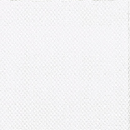 A close-up of the PAPSTAR 30 napkins, 2-ply "PUNTO" (38x38 cm) from the PAPSTAR GmbH features a delicate, lattice-like, white textured fabric—ideal for elegant table decorations. No visible patterns or designs.