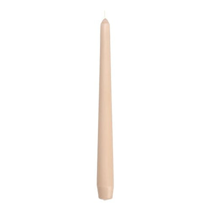 A single, unlit Starpak 50 taper candle (Ø 2.2 cm - 25 cm) stands upright against a white background - this elegant beige candle showcases the high-quality craftsmanship of Starpak.