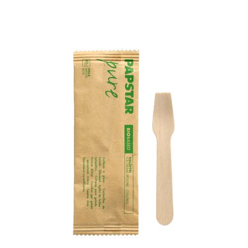 A PAPSTAR ice cream spoon wood "pure" 9.4 cm, individually wrapped in paper with green "PAPSTAR pure BIO-BASED" print lies next to its brown packaging from PAPSTAR GmbH on a white background.