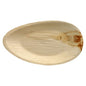 The PAPSTAR 25 plate palm leaf "pure" by PAPSTAR GmbH is an oval, light, biodegradable plate with wood grain and a unique brownish coloring - ideal for environmentally friendly events.