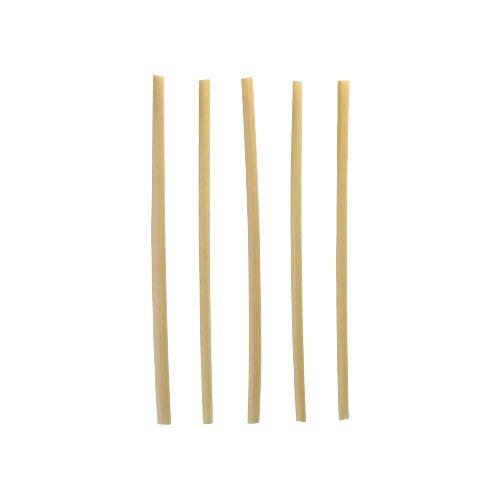 Five straight, uncooked bucatini noodles stand upright and evenly spaced on a plain white background, similar to the PAPSTAR GmbH cocktail straws "pure" 4 mm x 15 cm environmentally friendly from the dispenser box (250 pieces) laid side by side.