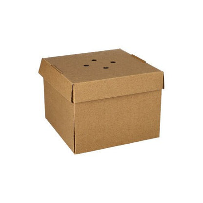 The burger boxes "pure" (20-pack) from PAPSTAR GmbH are simple brown cartons with a lid that has four ventilation holes - practical and eco-friendly, depicted on a white background.