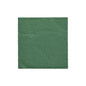 A simple, square PAPSTAR napkin 1/4-fold (24x24 cm) in dark green from the "DAILY Collection" (20 pieces) of PAPSTAR GmbH lies centrally on a white background.
