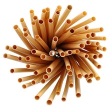 A top view of PAPSTAR reed straws "pure" (Ø 7 mm, 20 cm), bundled in a circle with open ends - the eco-friendly alternative to conventional straws from PAPSTAR GmbH, folding box with 100 pieces.