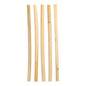Five PAPSTAR reed straws "pure" (Ø 10 mm, 25 cm) from the environmentally friendly folding box (50 pieces) by PAPSTAR GmbH are arranged vertically in different shades on a white background.